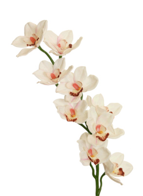 künstlicher Orchideen Zweig "Cymbidium" creme 90cm