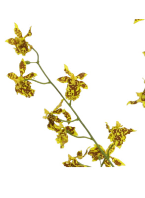 künstliche Orchideen Oncidium 100cm großer Kunstzweig