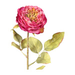 künstliche Rosen rosa mit grünem Kern 50cm