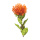 künstliche Protea orange 75cm exotische Blumen