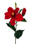 Künstlicher Hibiskus Zweig rot 60cm - Exotische Blumen