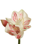 Real touch Amaryllis weiß geflammt 60cm Kunstblumen