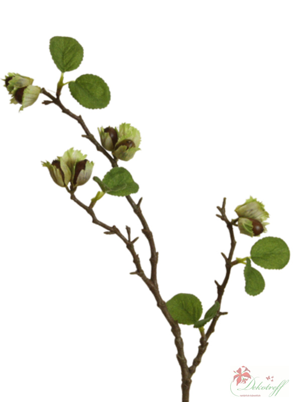Künstlicher Haselnusszweig 65cm - Kunstblumen für die Herbstdeko - de