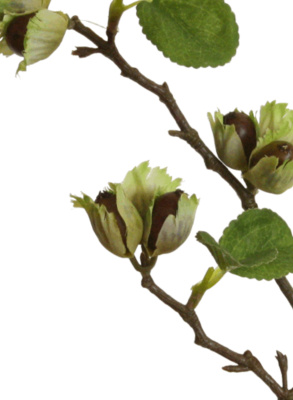 Künstlicher Haselnusszweig 65cm - Kunstblumen für die Herbstdeko - de