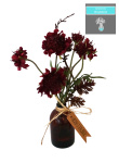 Schokoladenblumen Vase mit Kunstwasser -...