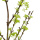 künstlicher Gemeiner Schneeball - Viburnum 100cm