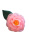 Kamelie Ansteckblume rosa 7cm - Steyer Seidenblumen