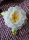 Ansteckblume groß 17cm beige - Steyer Seidenblumen