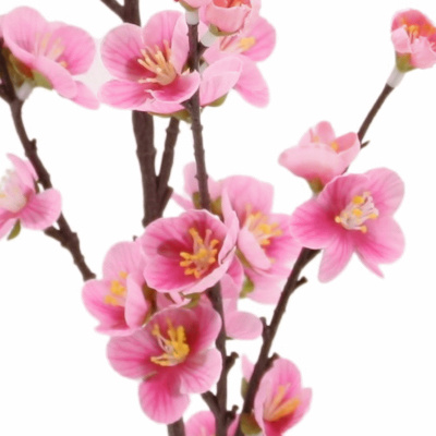 - künstliche Blumen dekotreff touch 80cm Real Kirschblütenzweige rosa