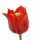 künstliche Kronentulpe rot - Real Touch Tulpen 45cm