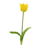 künstliche Kronentulpe gelb - Real Touch Tulpen 45cm
