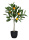 künstlicher Orangenbaum 55cm Kunstpflanzen